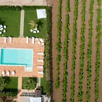 Alle Vigne ألكامو